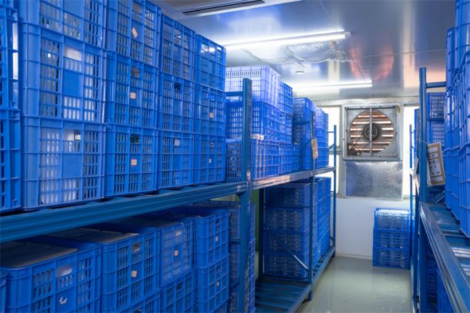 OEM 12mm การผ่าตัดช่องท้อง Hasson Trocar Trocar แบบใช้แล้วทิ้ง 7