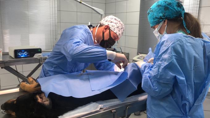 Laparoscope การผ่าตัด Ultrasonic Scalpel System Hemostasis สำหรับใช้ในสัตวแพทย์ 7