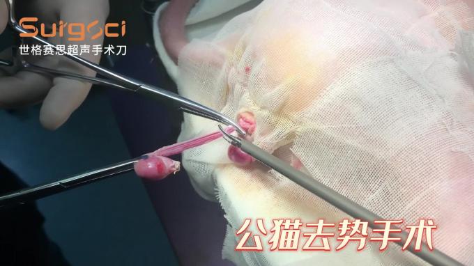 Ligasure Instruments ระบบมีดผ่าตัดอัลตราโซนิกสัตวแพทย์สำหรับการผ่าตัดสัตว์เลี้ยง 5