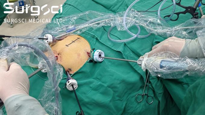 ข่าว บริษัท ล่าสุดเกี่ยวกับ กลายเป็นนักจําหน่ายของเราในประเทศของคุณ  0